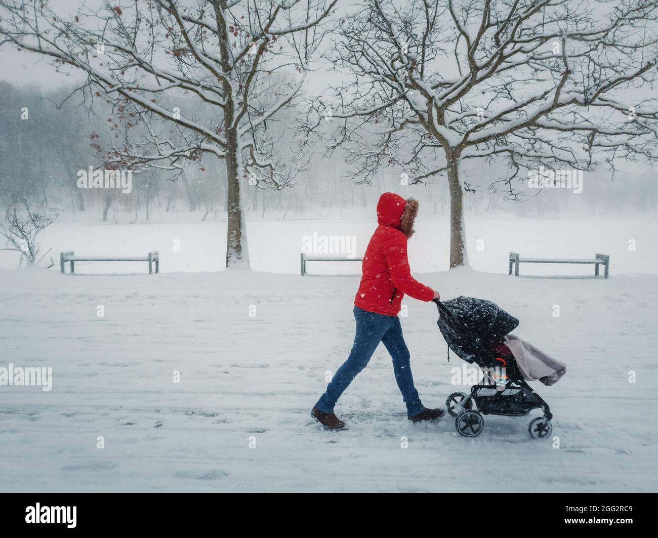 Scène d'hiver enneigée avec une maman poussant un bébé en train de marcher dans le parc dans un matin d'hiver enneigé. Photographie de rue scène saisonnière avec chute de neige Banque D'Images