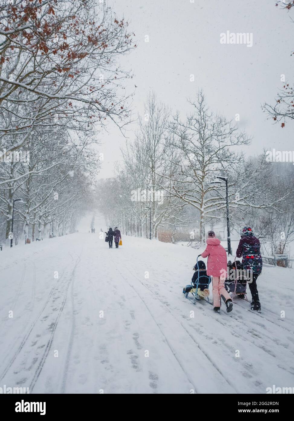 Belle scène dans le parc d'hiver avec deux mères marchant leurs enfants sur une promenade en traîneau. Cadre idyllique et paisible avec des flocons de neige moelleux tombant f Banque D'Images