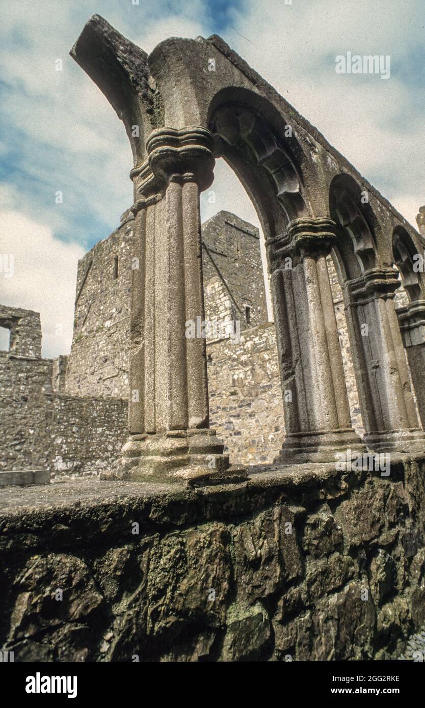 Les restes de la couche croisée. Patrimoine culturel depuis plus de 900 ans : l'abbaye de la fore avec ses bâtiments romanes a été fondée en tant que cloître bénédictin en 630 et n'a été désimplantée qu'en 1539. Aujourd'hui, c'est une attraction majeure du comté de Westmeath Banque D'Images