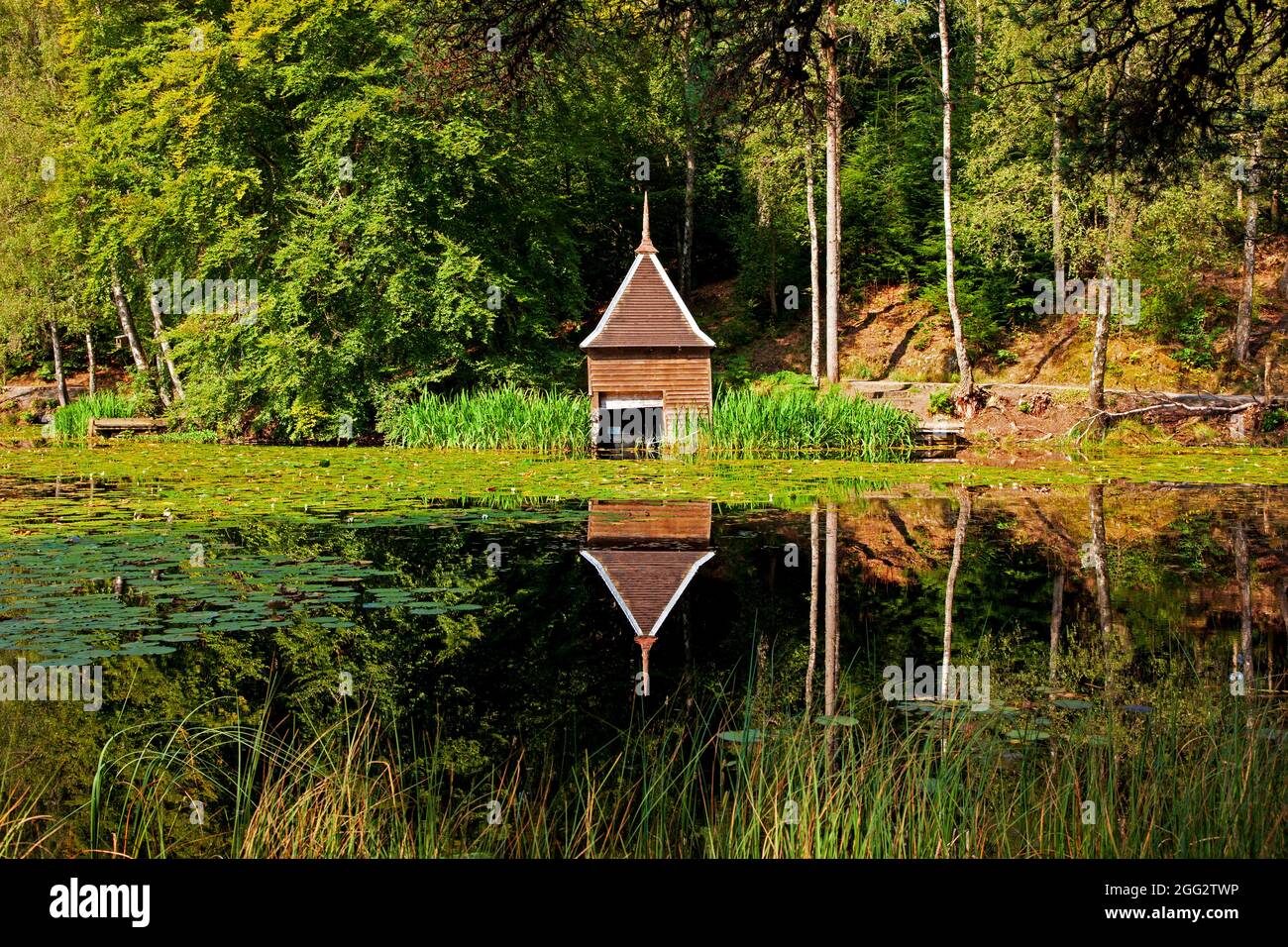 Réflexions sur le Loch Dunmore, Faskally, Perth et Kinross, Perthshire, Écosse, ROYAUME-UNI. Banque D'Images