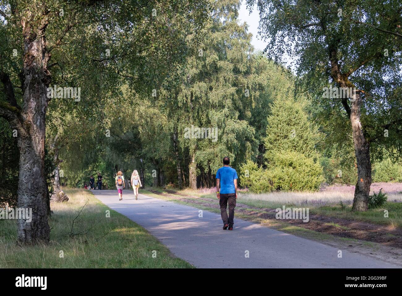 Personnes marchant, Wilsede, Luneburg Heath, Basse-Saxe, Allemagne Banque D'Images