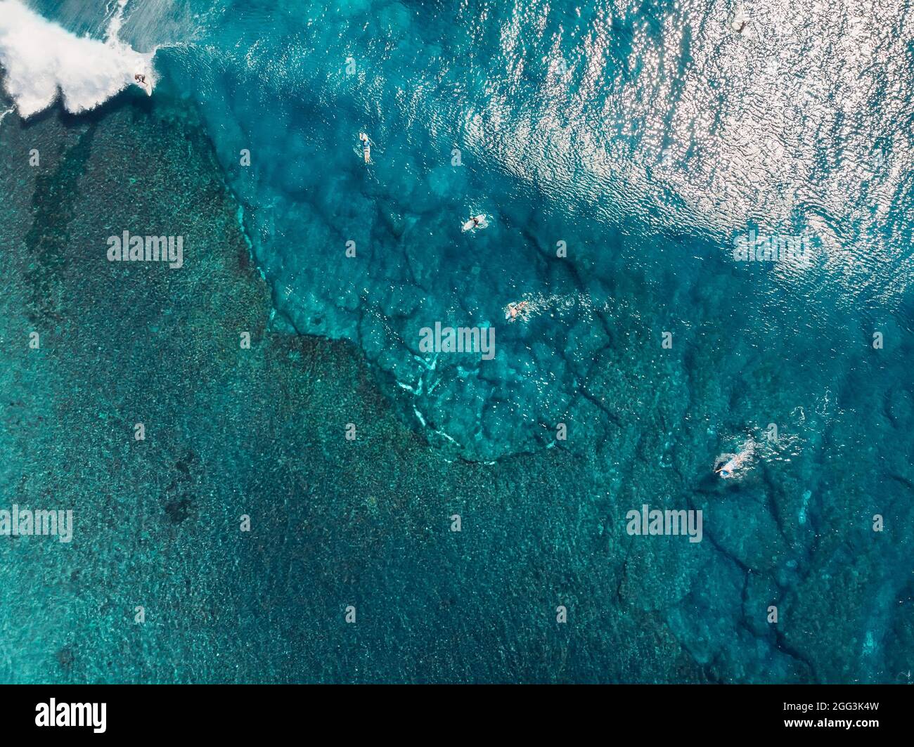 Vue aérienne de beaucoup de surfeurs dans un océan bleu transparent avec des vagues. Vue de dessus Banque D'Images