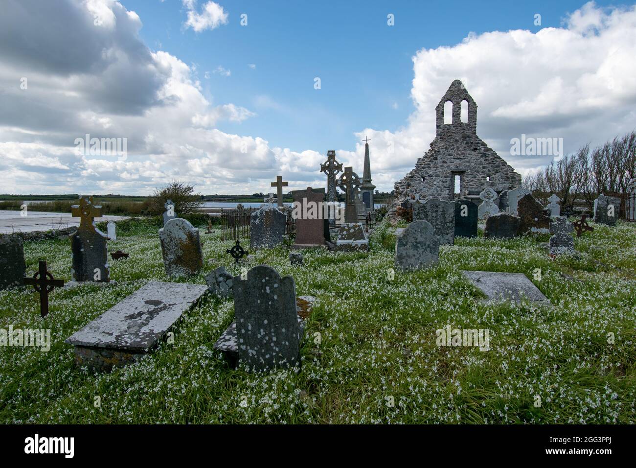 Paysage de l'île de notre dame sous un ciel bleu ciel nuageux à Wexford, Irlande Banque D'Images