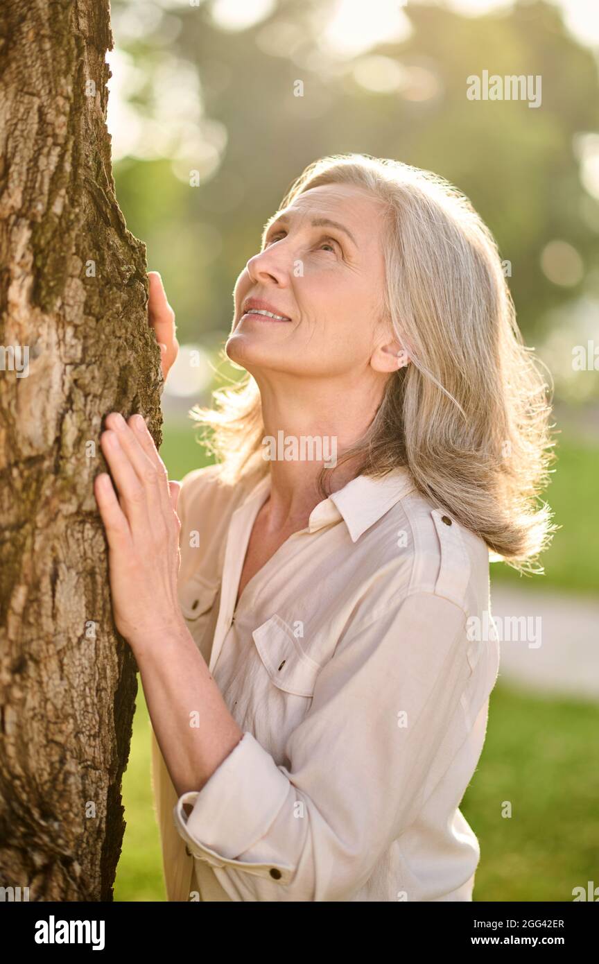 Femme touchant l'arbre avec ses paumes en regardant vers le haut Banque D'Images