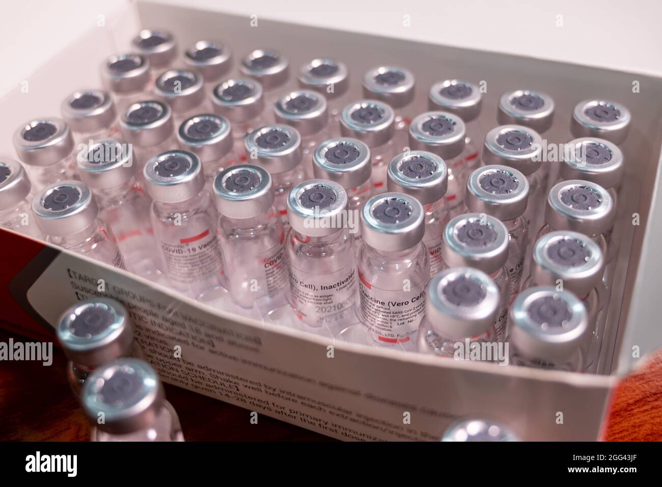 Coronavirus Sinovac vaccin et seringue dans la bouteille ou le flacon pour injection dans les mains des médecins. Covid-19, prévention du SRAS-COV-2 Banque D'Images