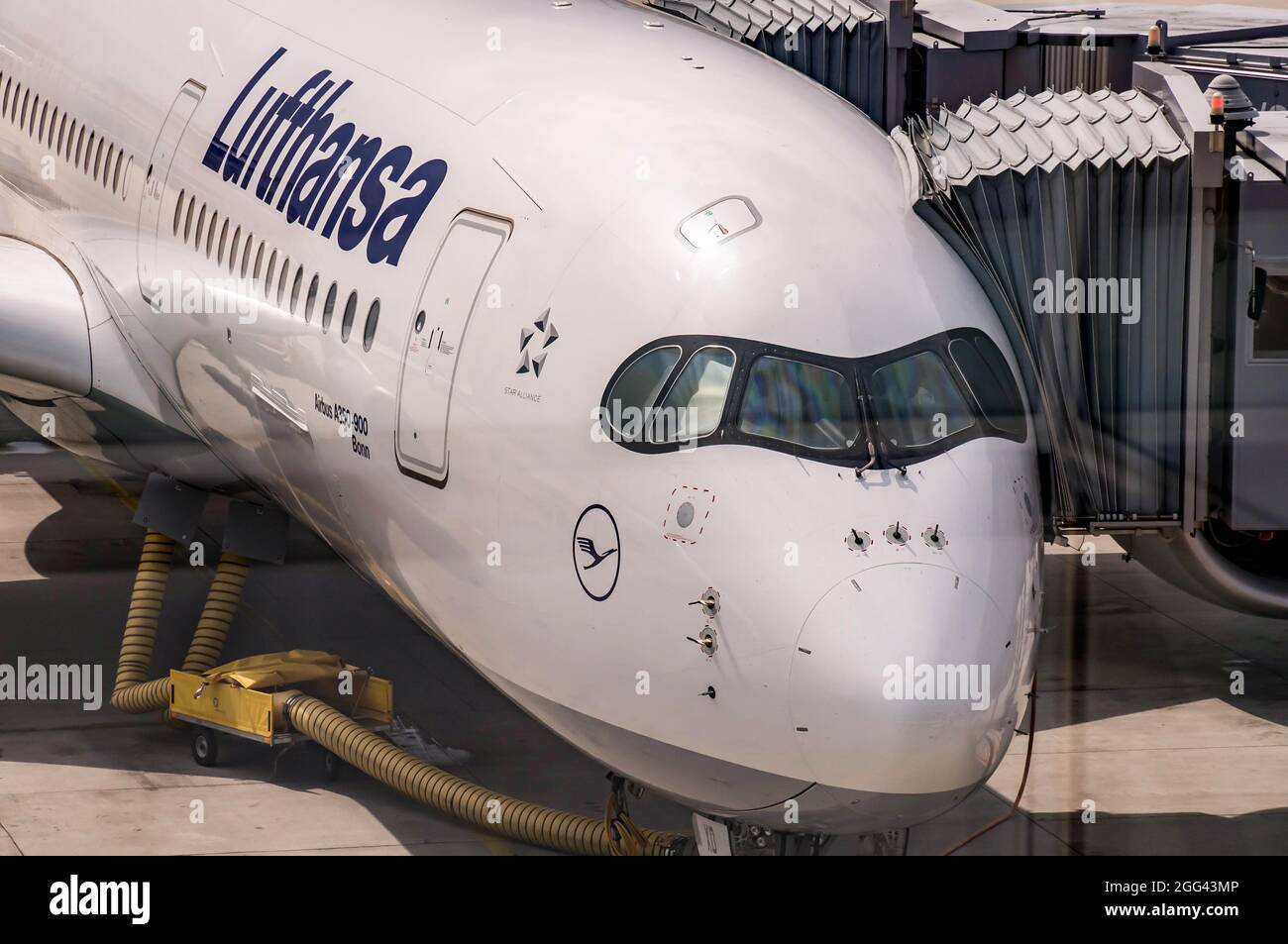 MUNICH, ALLEMAGNE - 2019 07 27: Airbus A350-900 avion de ligne de Lufthansa AG stationné à l'aéroport de Munich. Deutsche Lufthansa AG est la plus importante Banque D'Images