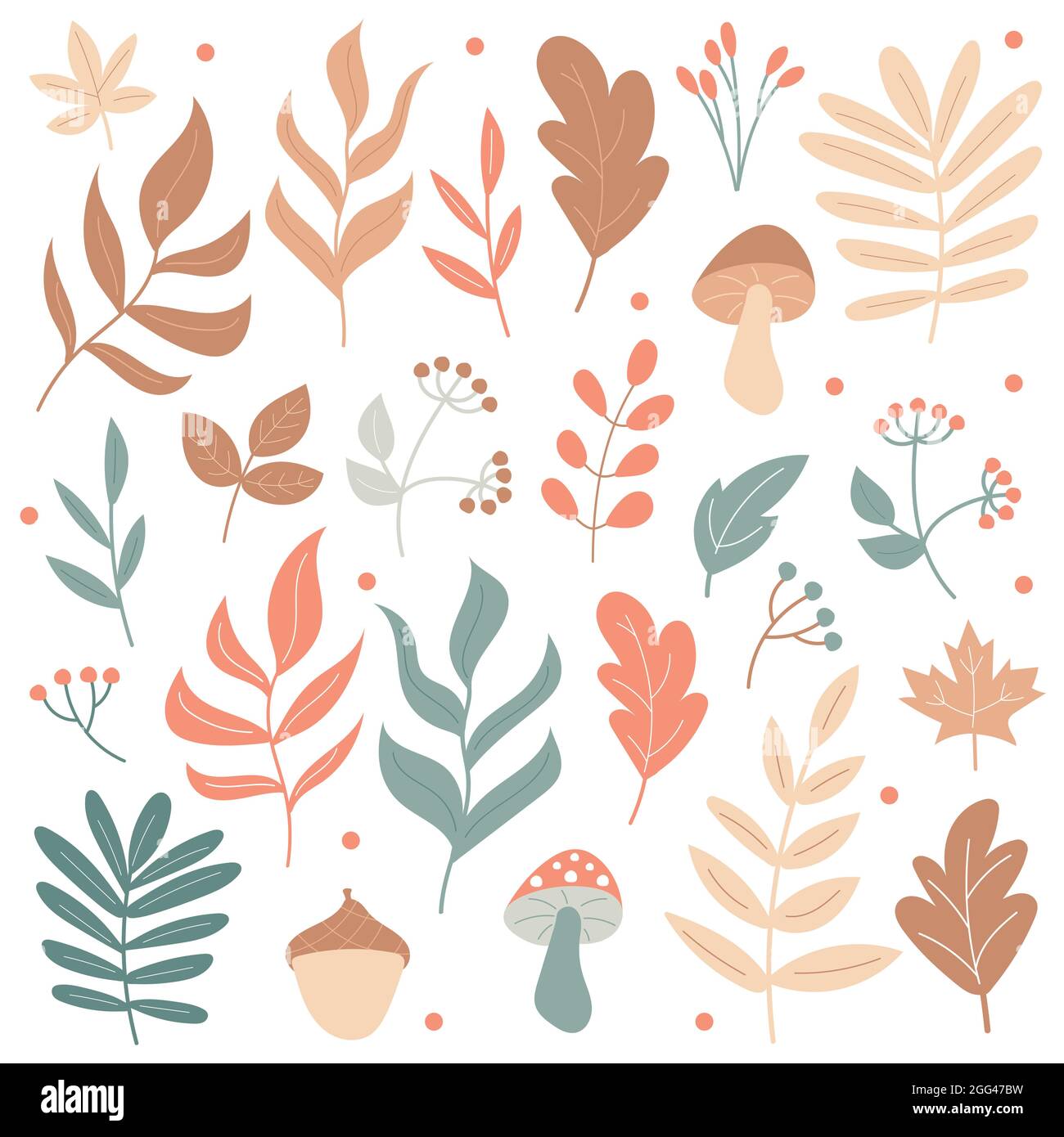 Grand ensemble d'éléments d'automne - champignons et plantes - sur fond blanc. Icônes dessinées à la main dans des couleurs pastel Illustration de Vecteur