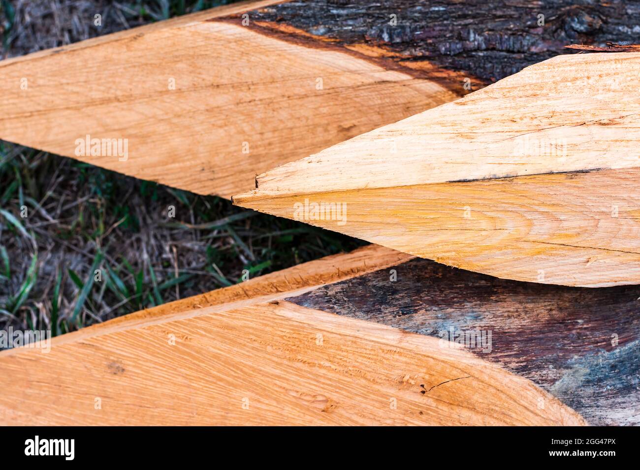 Détail de quelques troncs pointus qui sont préparés pour fermer le terrain.la photographie est prise en format horizontal et a un foyer sélectif. Banque D'Images