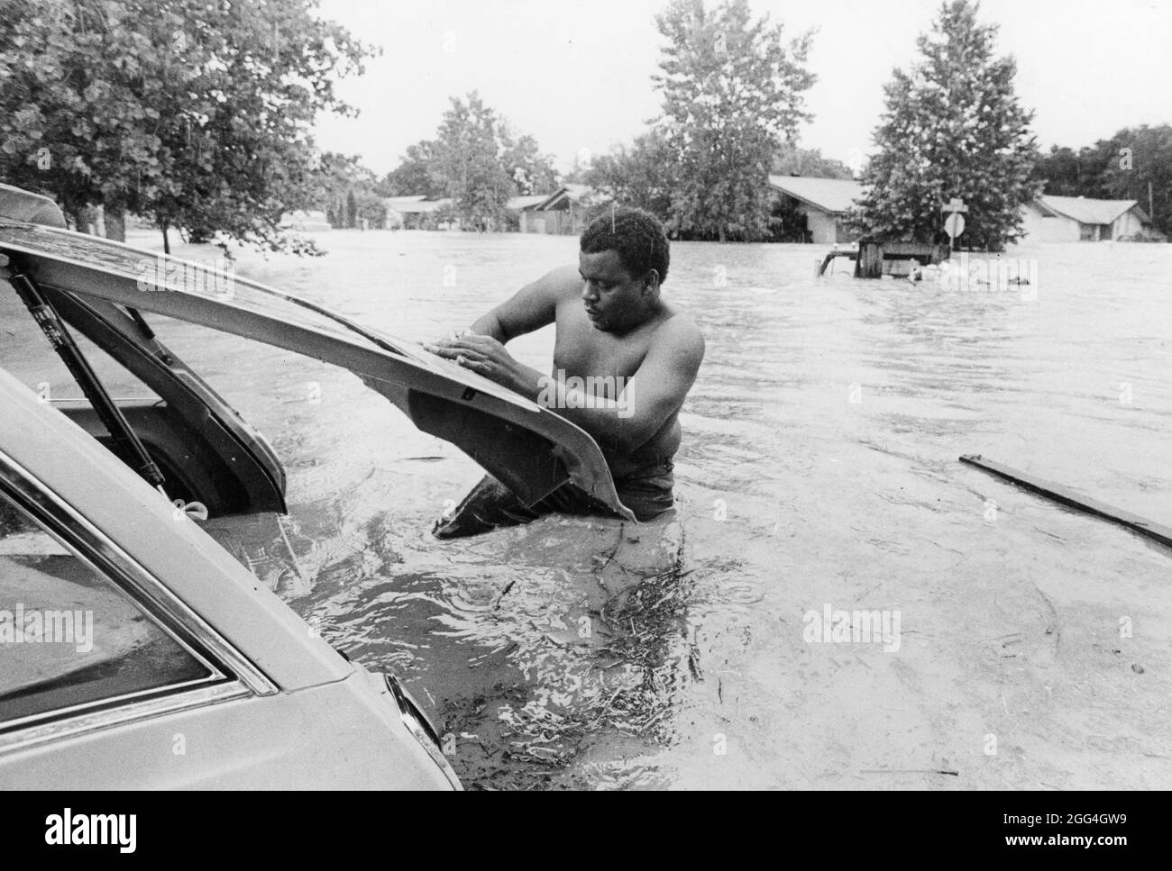 Austin Texas USA, 1982 : L'homme lutte pour fermer la porte de hayon sur sa voiture partiellement submergée alors que de graves inondations soudaines sur Williamson Creek inonde un quartier dans South Austin. ©Bob Daemmrich Banque D'Images