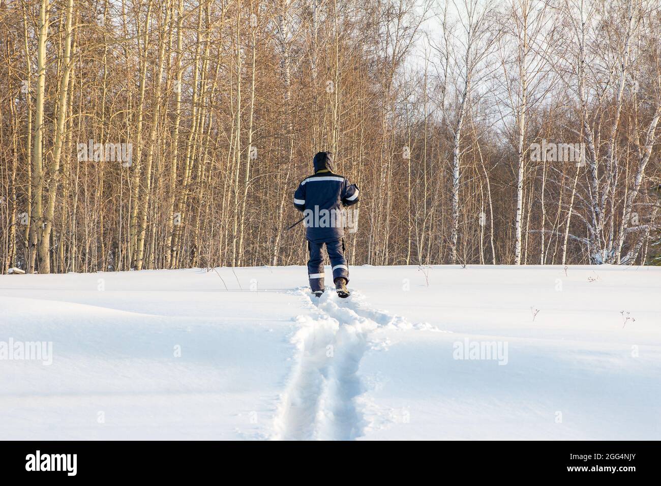 un chasseur de skis avec une arme entre ses mains s'approche de la forêt Banque D'Images