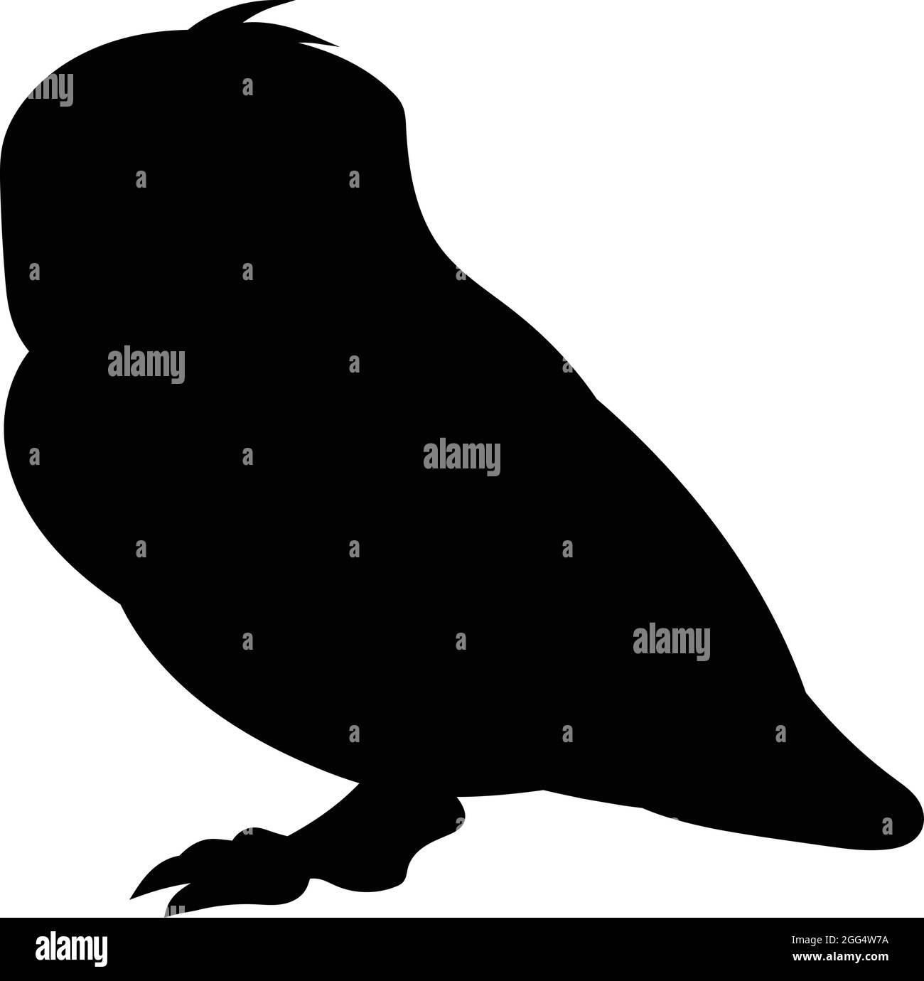 Hibou de nuit Silhouette d'oiseau noir sur fond blanc sans ciel. Vecteur libre Illustration de Vecteur