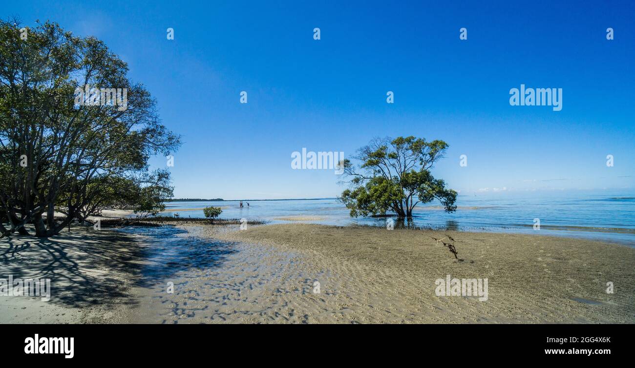Zones intertidales des zones humides côtières de Beachmere, Moreton Bay, sud-est du Queensland, Australie Banque D'Images