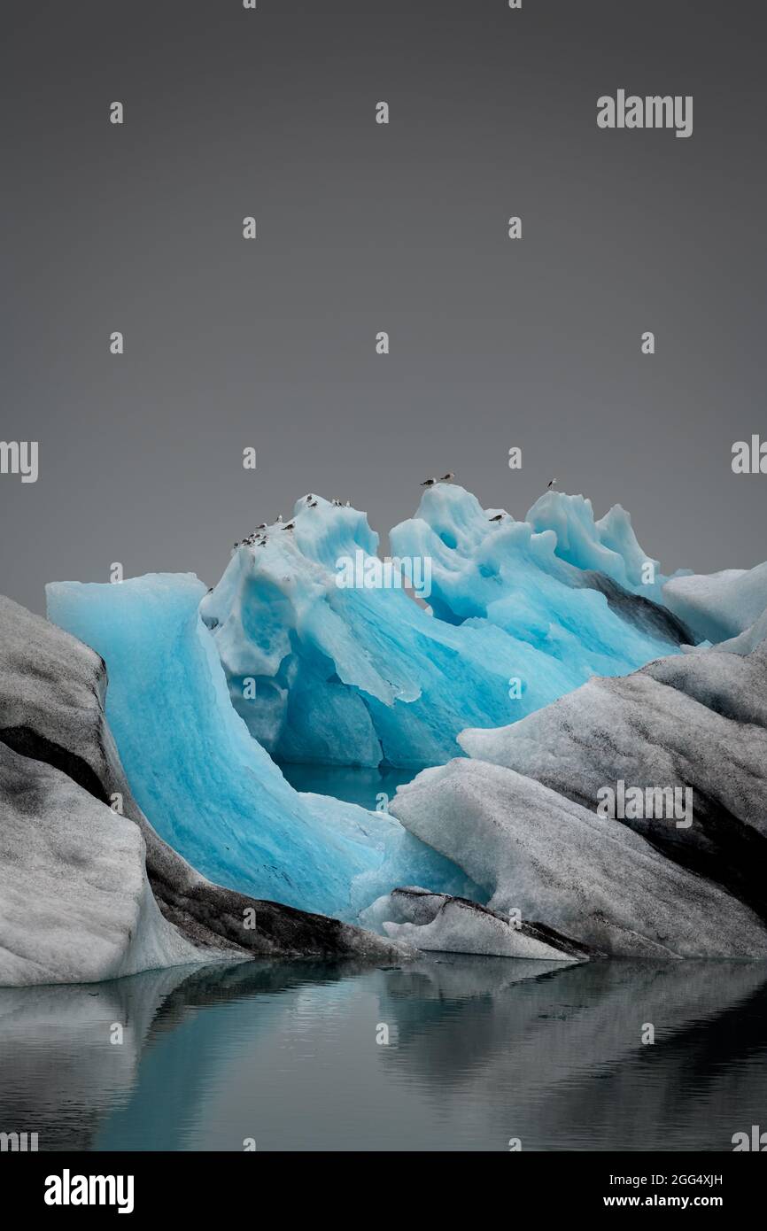 Belle sculpture sur glace dans le lagon du glacier Jökulsarlon. Banque D'Images