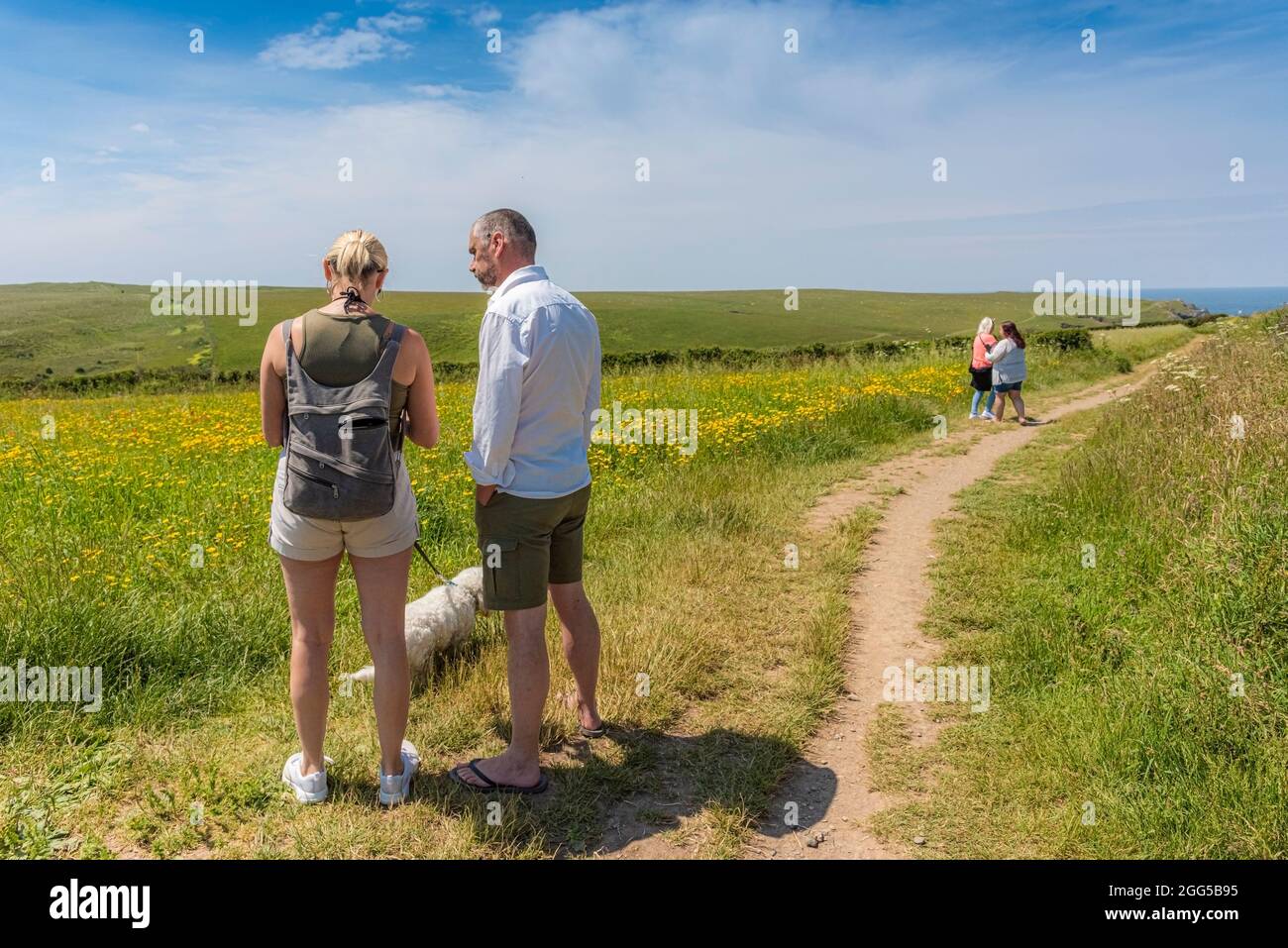 Touristes appréciant la vue sur les champs de fleurs sauvages sur West Pentire à Newquay en Cornouailles. Banque D'Images