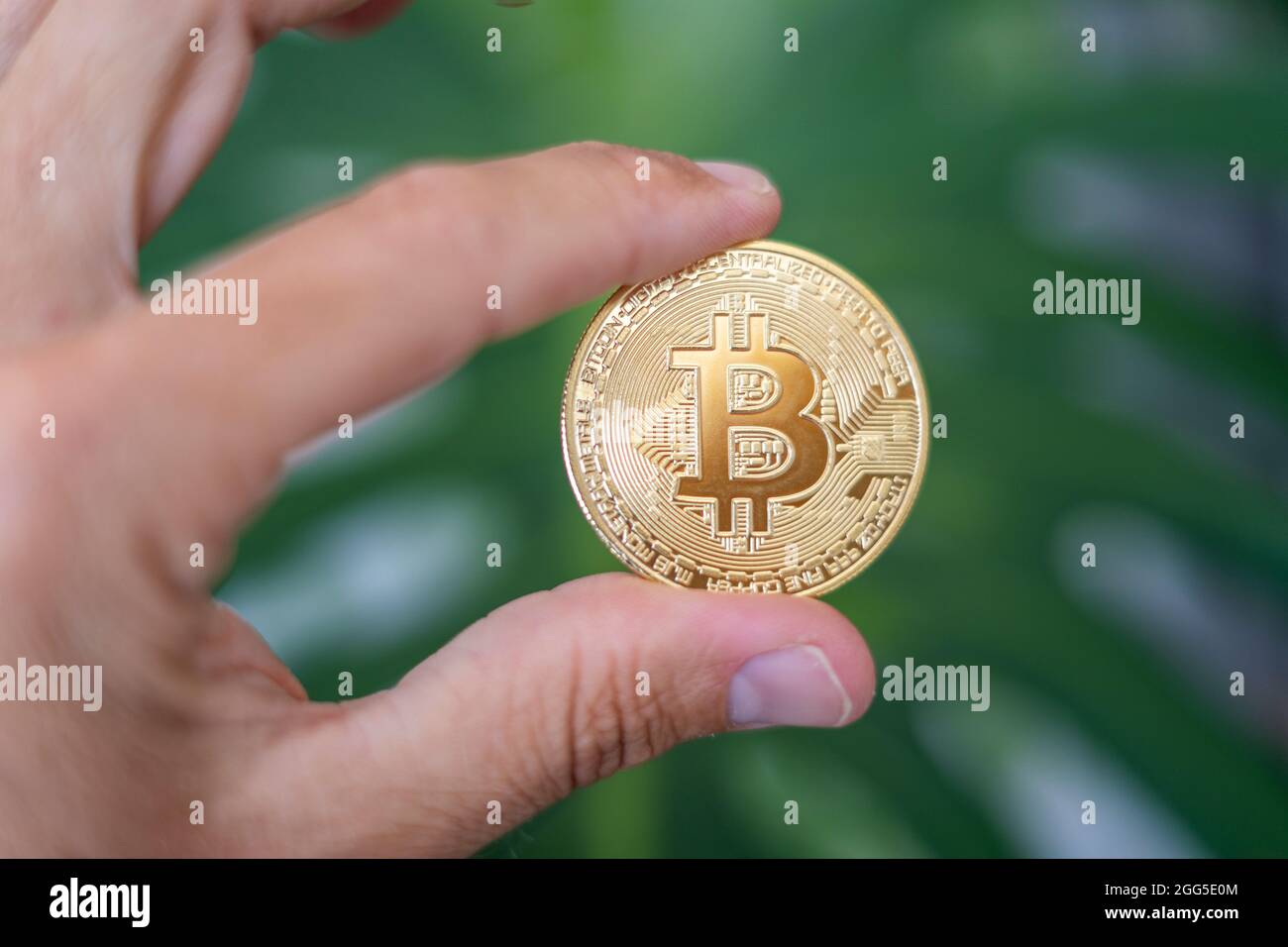 Réserve de devises de crypto-monnaie Bitcoin. Pièce de monnaie dorée avec symbole BTC. Technologie blockchain. Augmentation du prix du Bitcoin ou krach. Investir dans des ressources virtuelles. Banque D'Images