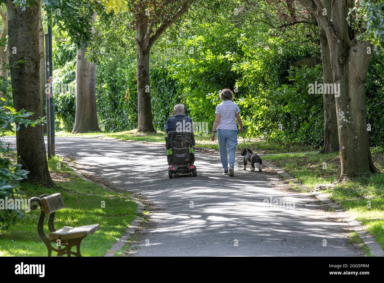 Un couple de personnes sur un sentier boisé, un chien marchant et un scooter mobile. Banque D'Images