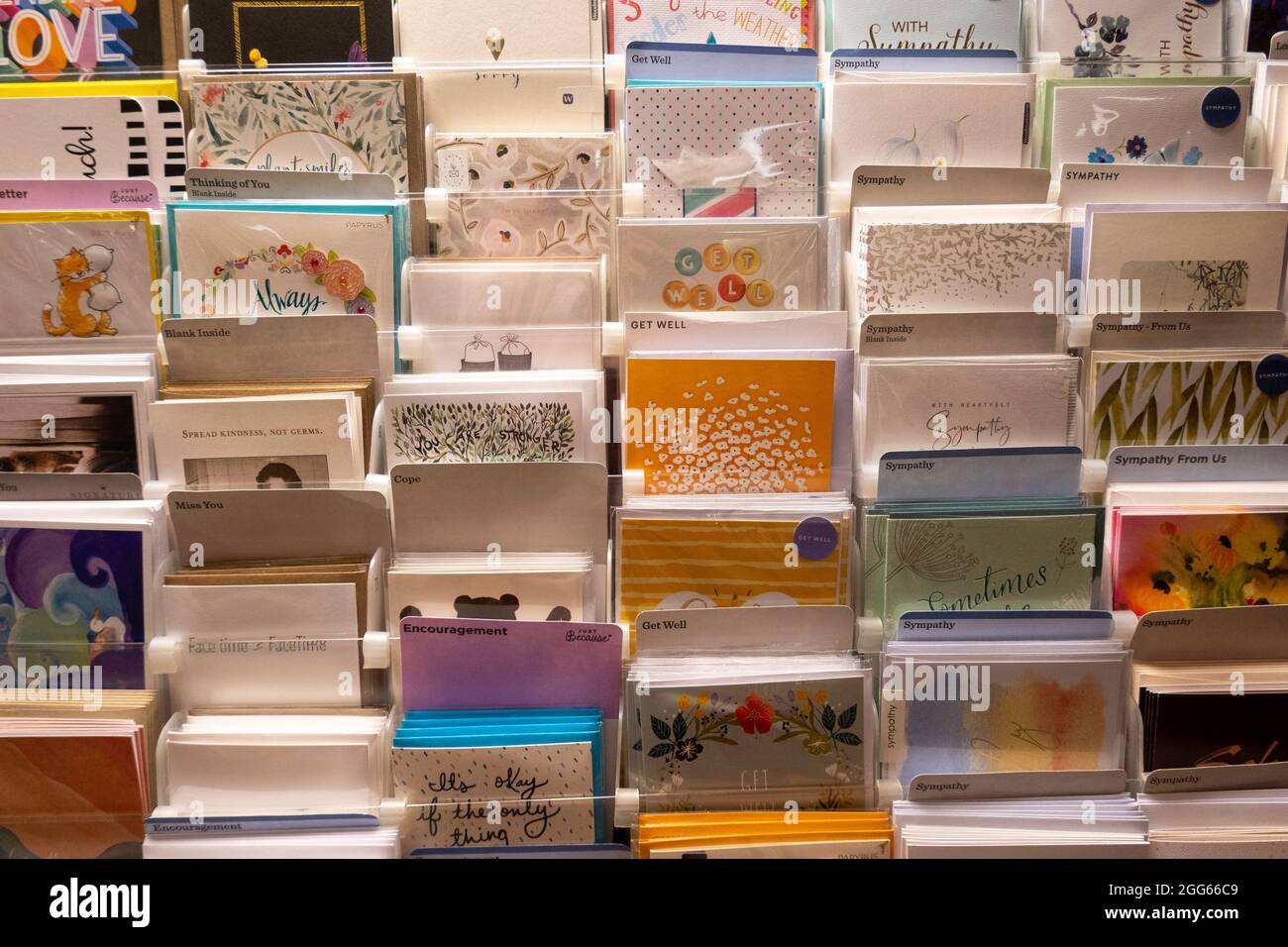 Barnes & Noble Booksellers sur Fifth Avenue à New York City dispose d'un grand choix de cartes de vœux, USA Banque D'Images