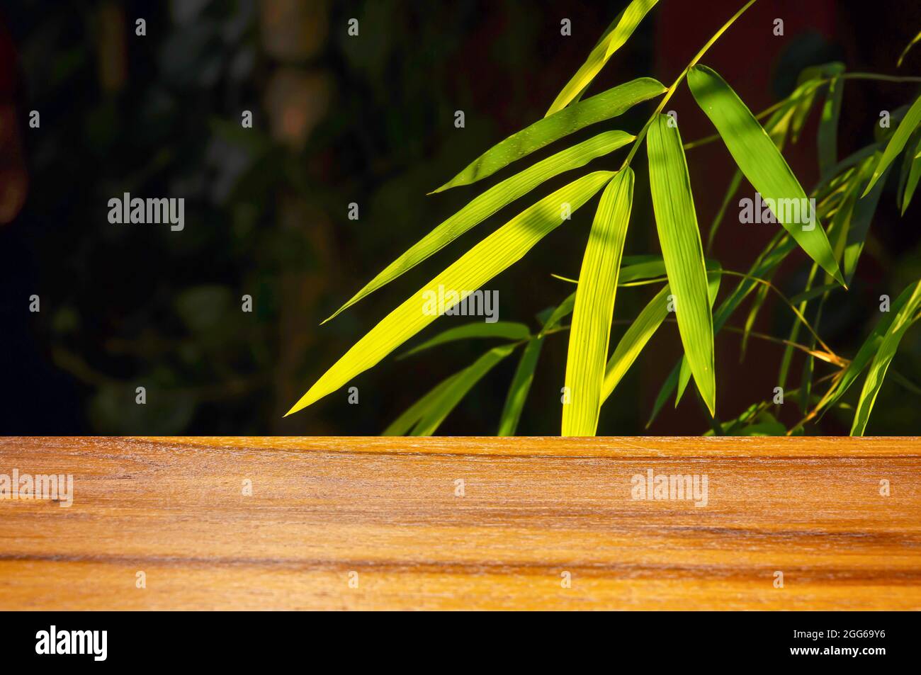 Tableau en bois vide devant les feuilles de bambou pour la présentation du produit Banque D'Images