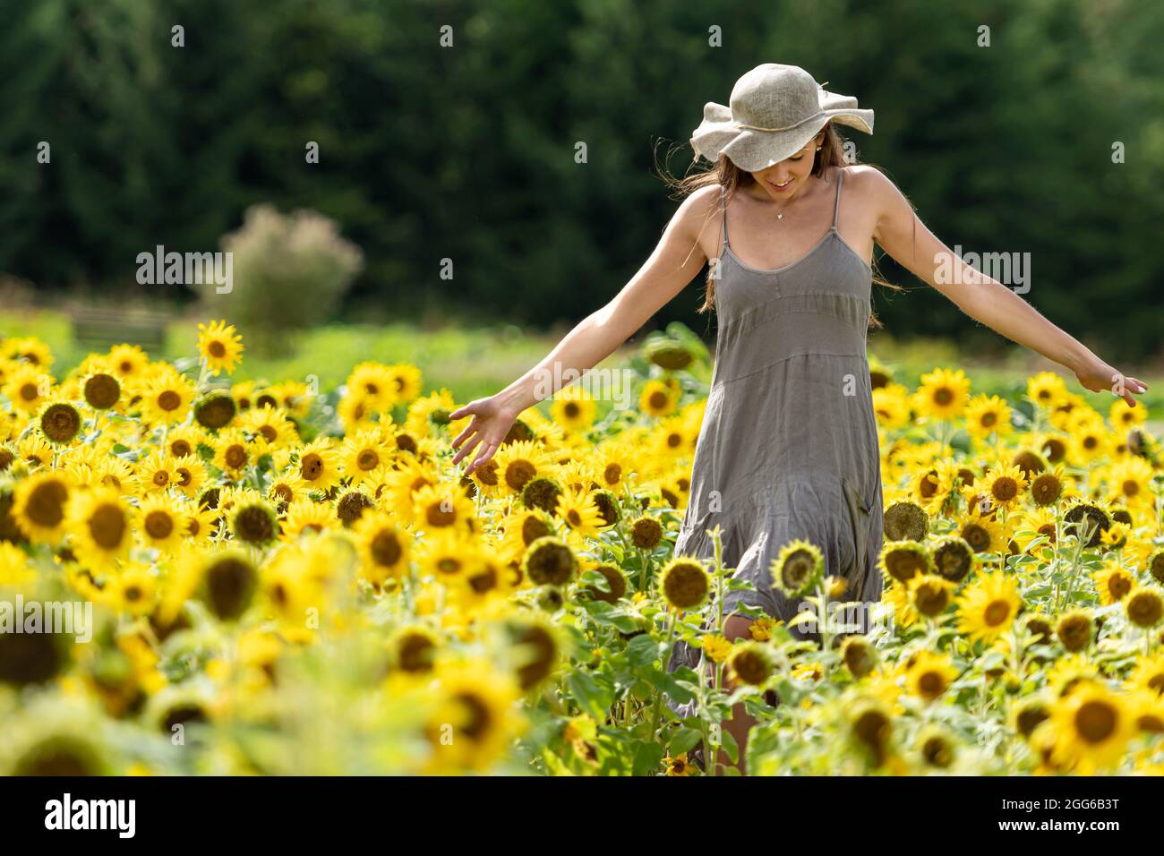 belle jeune femme en chapeau de paille et robe de style campagnard linean  marche à travers un champ de tournesols Photo Stock - Alamy