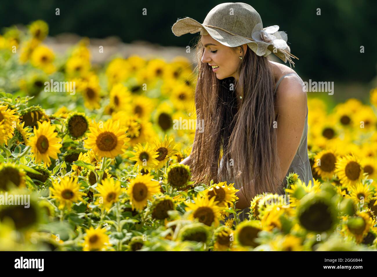 belle jeune femme en chapeau de paille et robe de style campagnard linean  marche à travers un champ de tournesols Photo Stock - Alamy