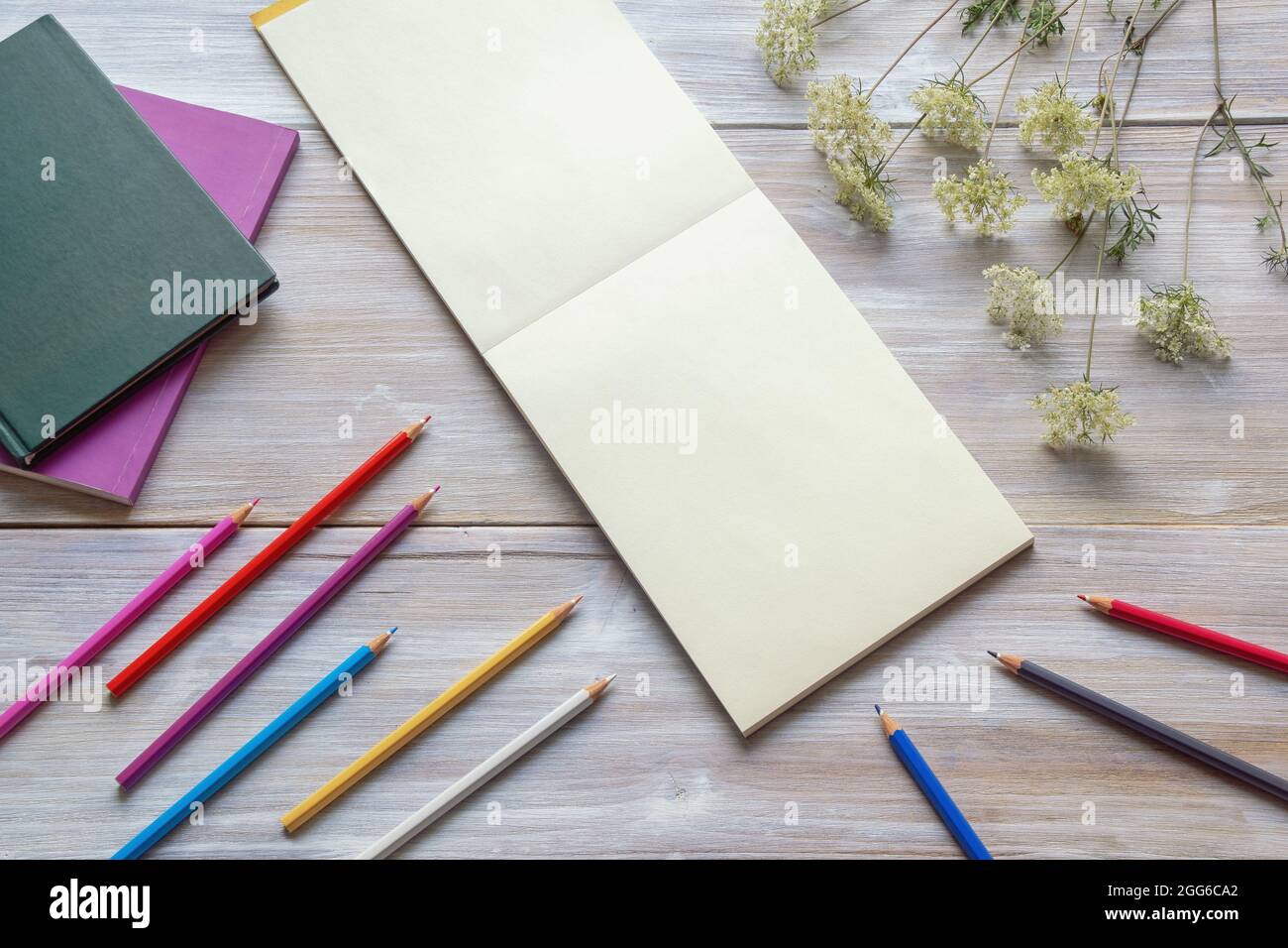 Crayons de couleur, livres, fleurs sauvages et croquis ouverts sur table rustique. Espace libre pour le texte ou l'image Banque D'Images