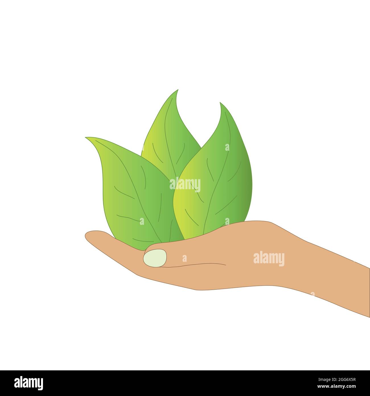 Main avec des feuilles vertes juteuses. Vecteur Illustration de Vecteur