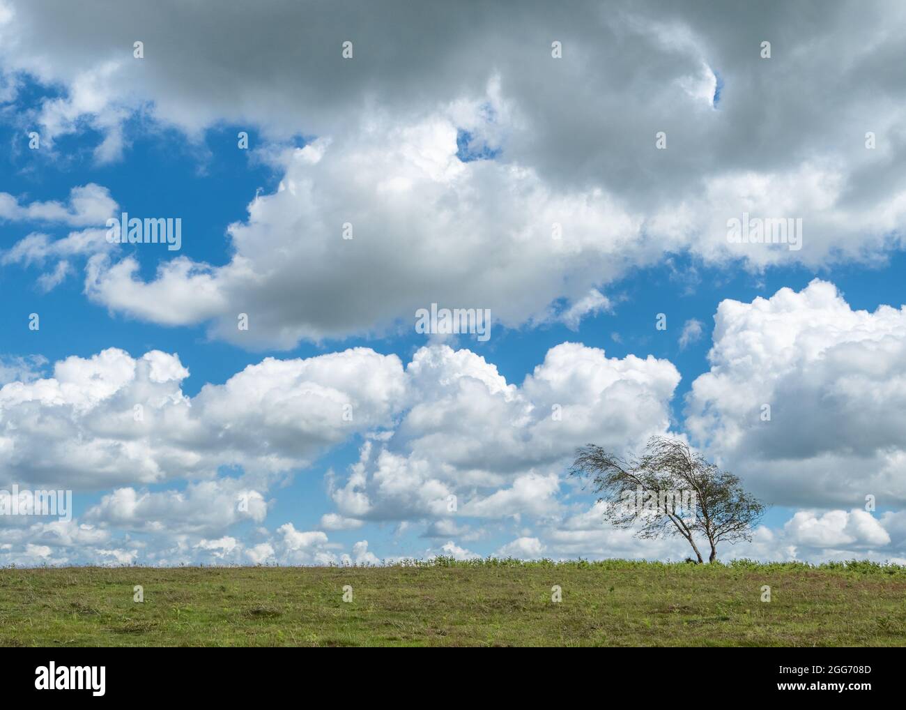 Nuages au-dessus de Black jusqu'au point le plus élevé des collines de Mendip dans le Somerset au Royaume-Uni Banque D'Images