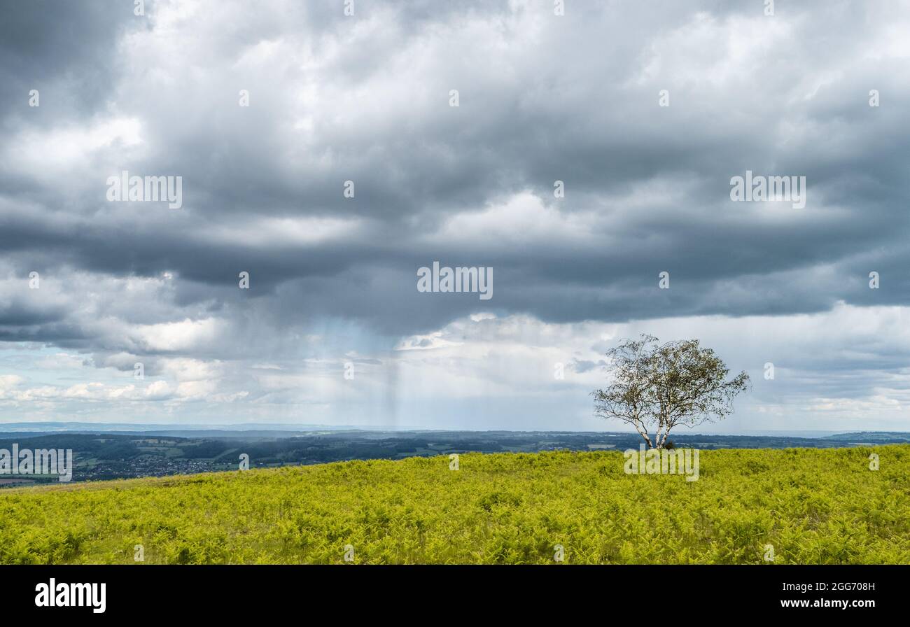 Nuages au-dessus de Black jusqu'au point le plus élevé des collines de Mendip dans le Somerset au Royaume-Uni Banque D'Images