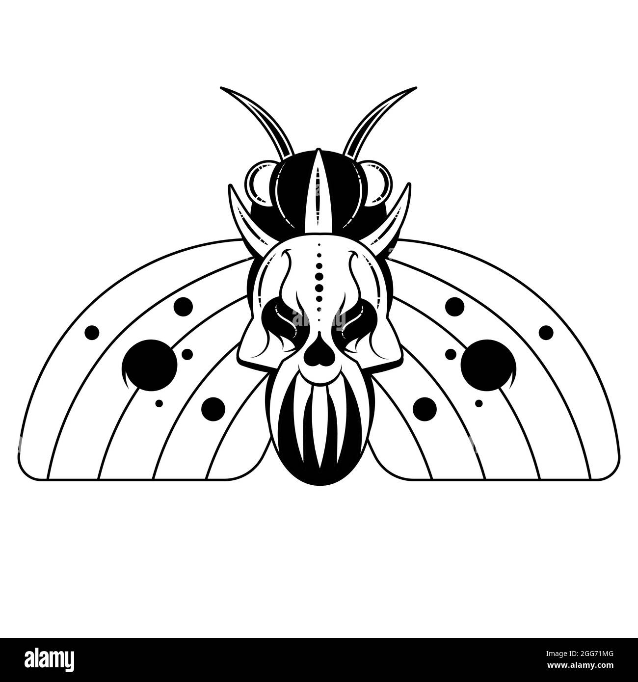 Illustration d'un papillon tête morte avec un motif en forme de crâne sur le thorax. Bannière vectorielle avec papillon réaliste Illustration de Vecteur