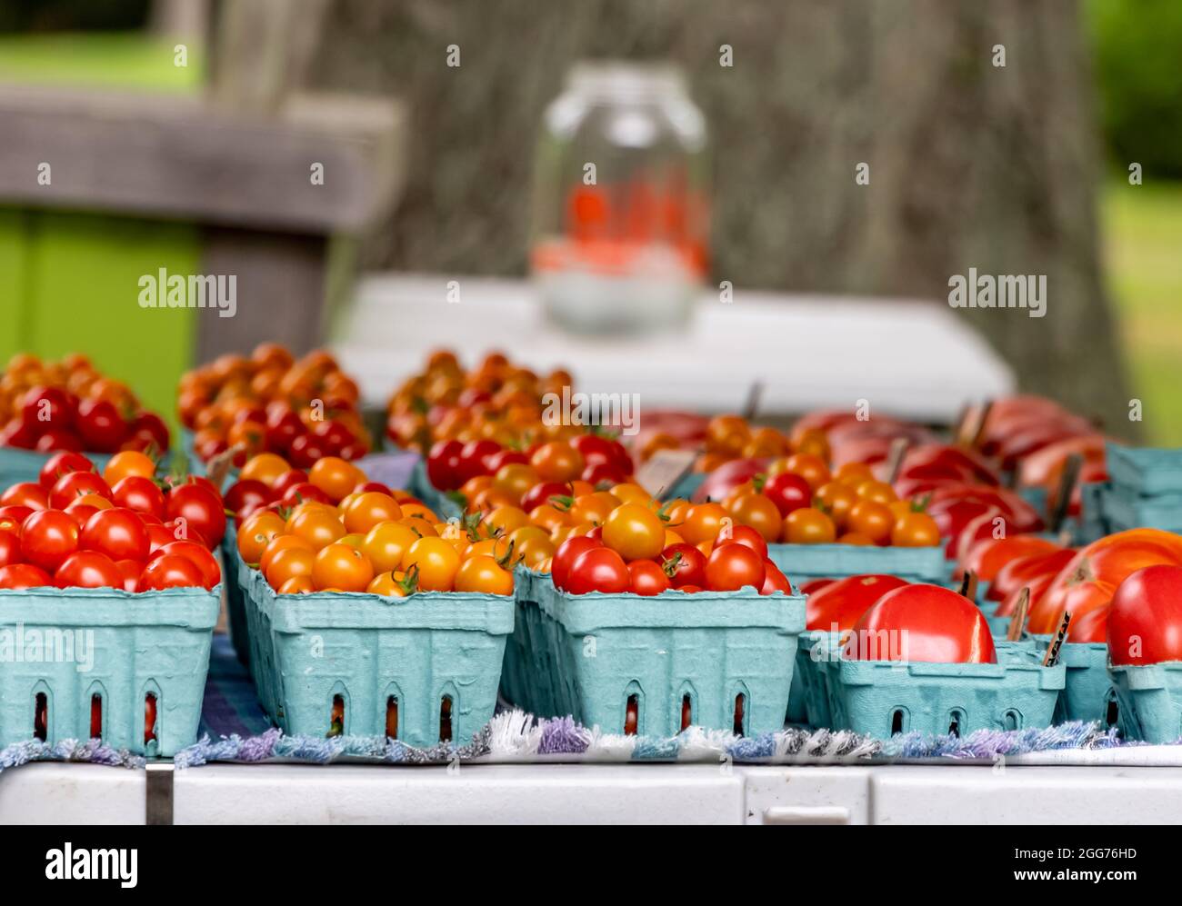 Stand de ferme d'Shelter Island avec tomates Banque D'Images