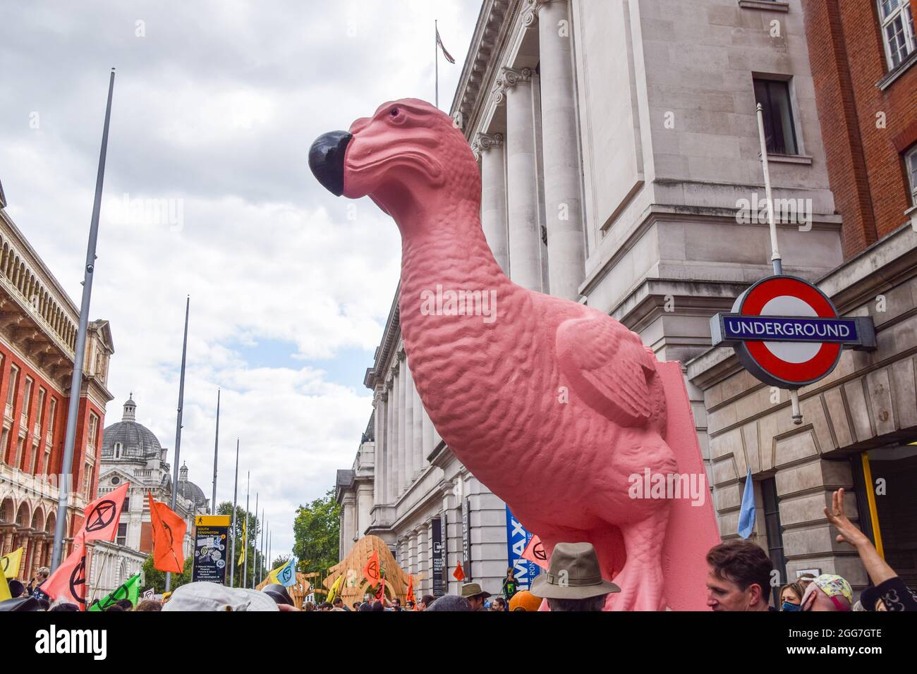 Londres, Royaume-Uni. 29 août 2021. Un dodo géant est vu pendant la démonstration à l'extérieur du Musée des Sciences. Des militants se sont rassemblés devant le musée de South Kensington pour protester contre le parrainage par Shell de l'exposition notre avenir planète sur le changement climatique et dans le cadre de la campagne de deux semaines de la rébellion de l'extinction. Crédit : SOPA Images Limited/Alamy Live News Banque D'Images