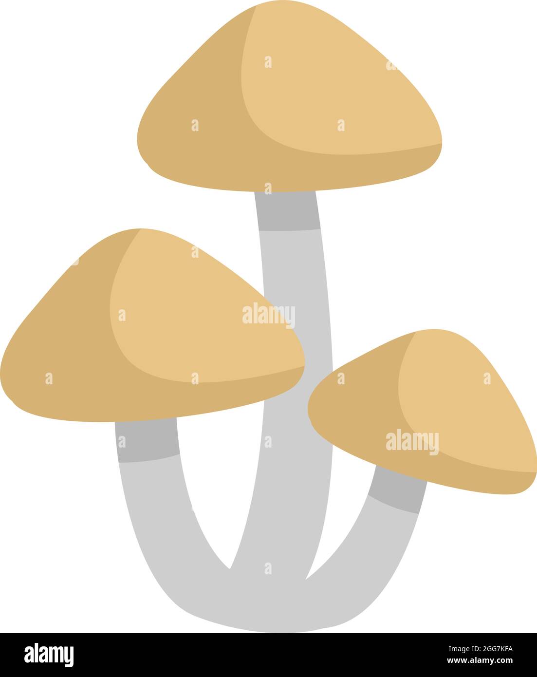 Champignon tuft de soufre, illustration d'icône, vecteur sur fond blanc Illustration de Vecteur