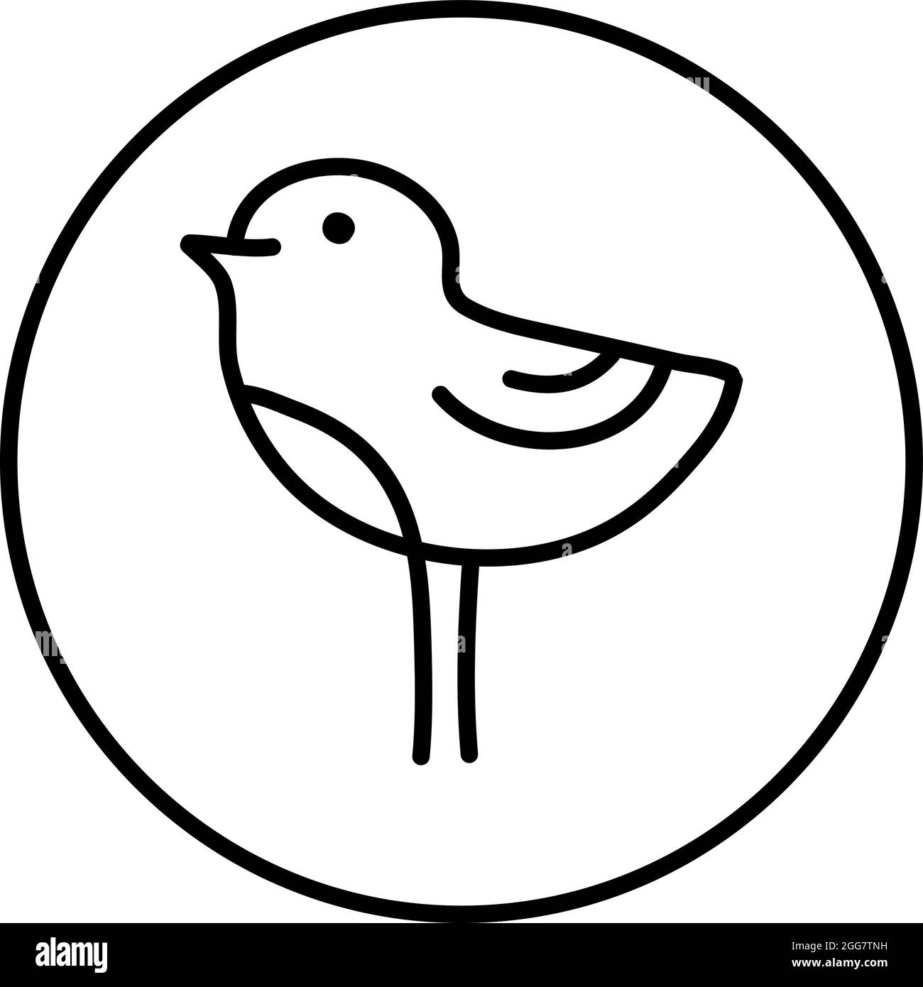 Oiseau avec de longues jambes, illustration, sur un fond blanc. Illustration de Vecteur