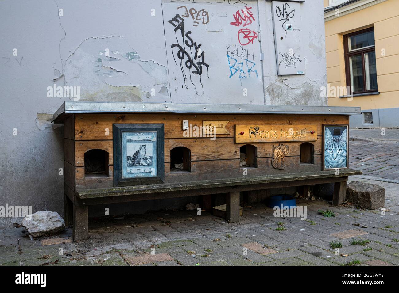Riga, Lettonie. Août 2021. Une structure en bois pour l'hébergement de chats errants dans une rue du centre ville Banque D'Images