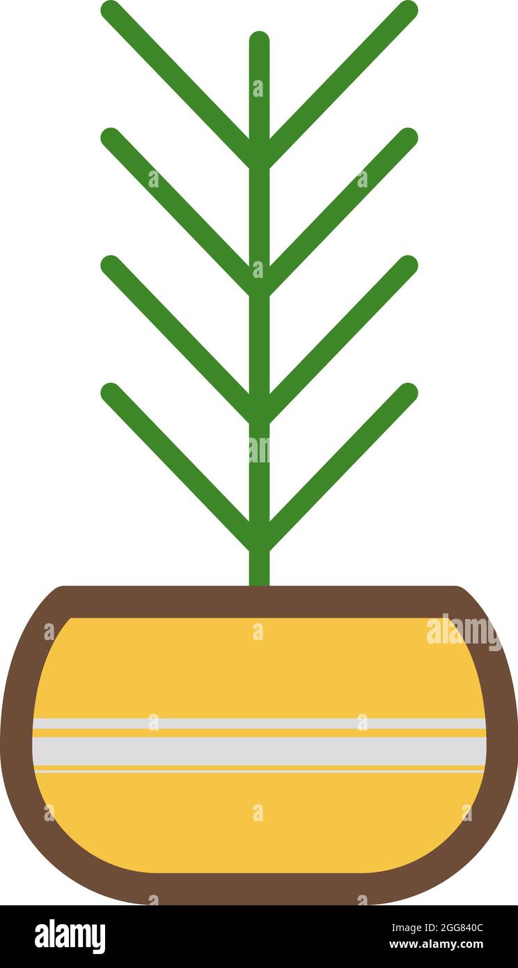 Oiseau de paradis plante, illustration, sur un fond blanc. Illustration de Vecteur