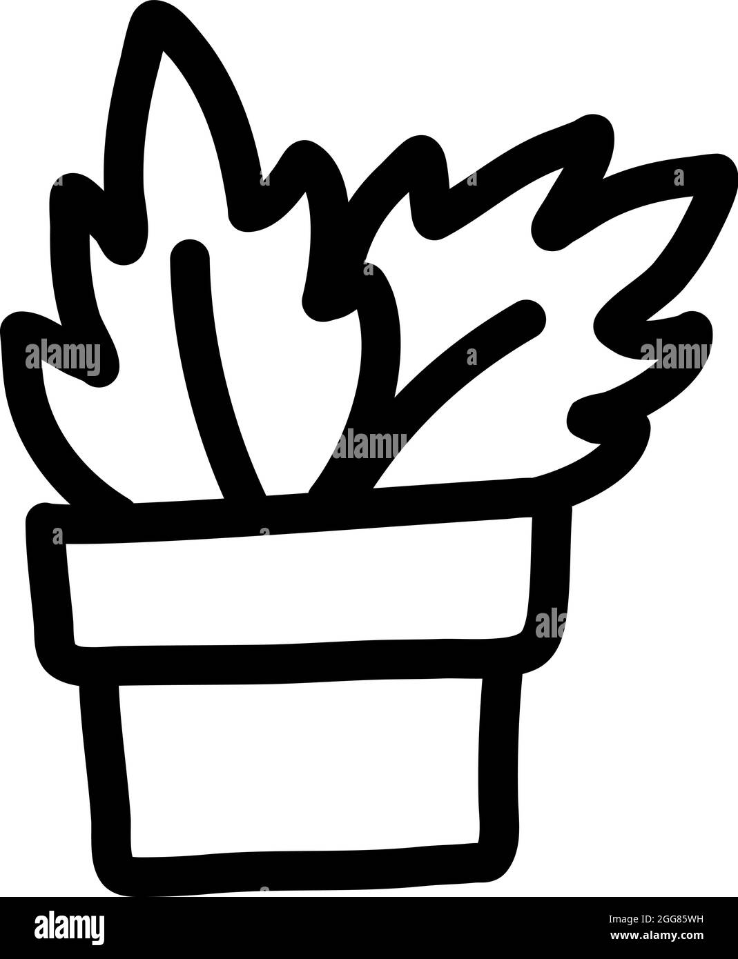 Dusty miller fleur en pot, illustration, sur un fond blanc. Illustration de Vecteur