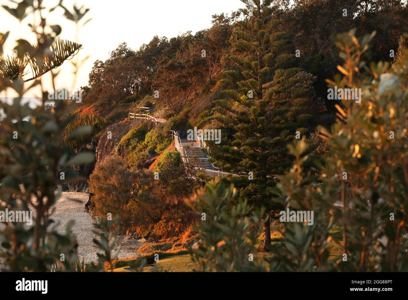 Une vue tôt le matin au lever du soleil sur la promenade côtière à Port Macquarie, Nouvelle-Galles du Sud, depuis Oxley Beach. Promenade sinueuse à travers la végétation et coin de la plage Banque D'Images