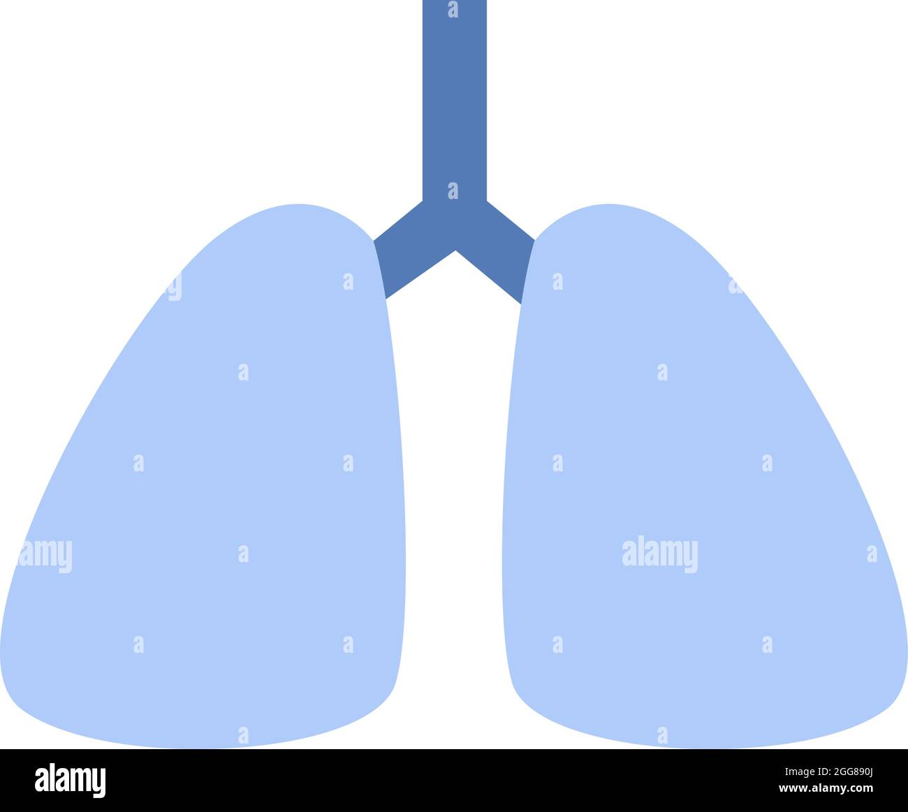 Poumons sains, illustration, vecteur sur fond blanc. Illustration de Vecteur