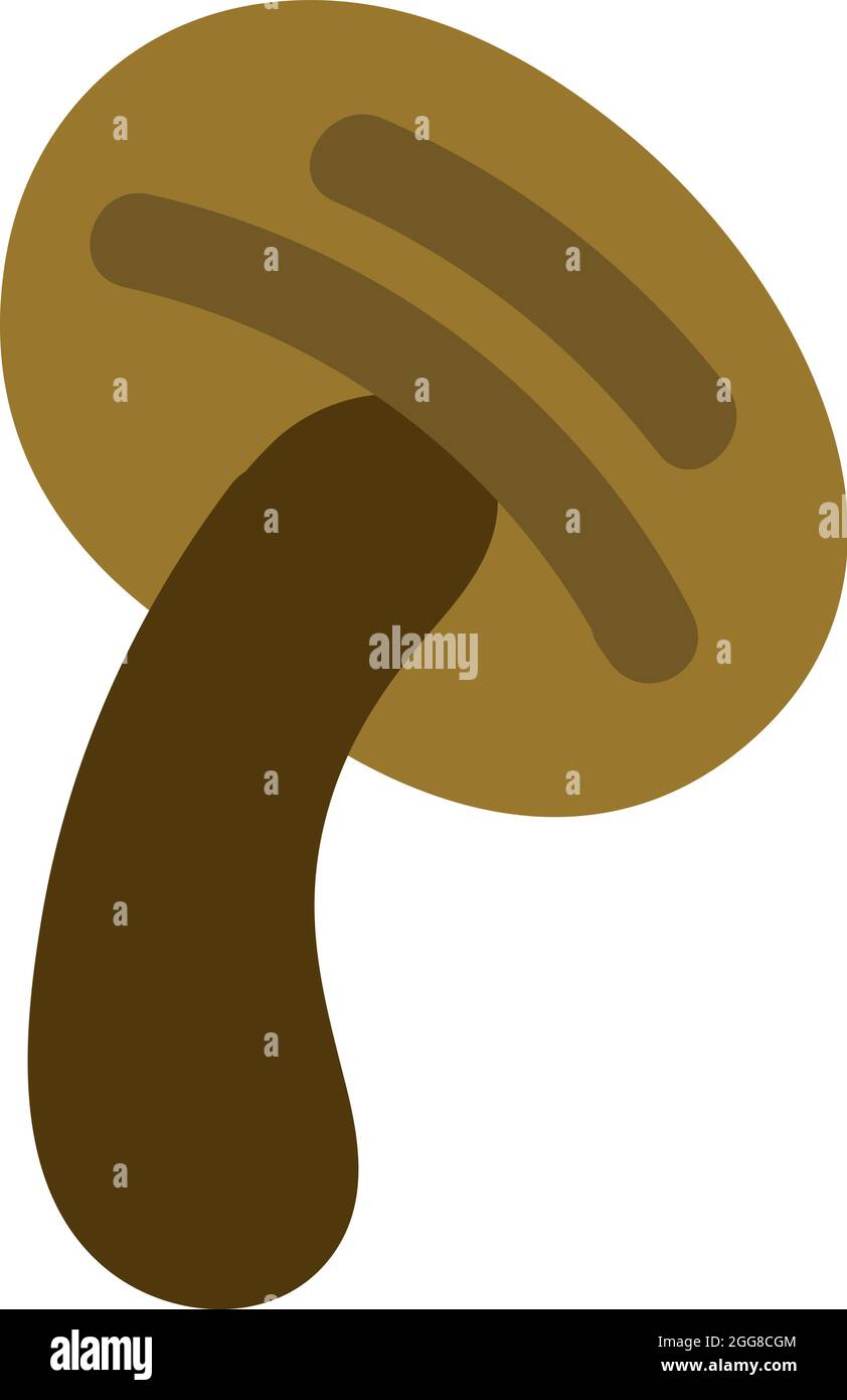 Champignon trompette noir, illustration, vecteur sur fond blanc. Illustration de Vecteur