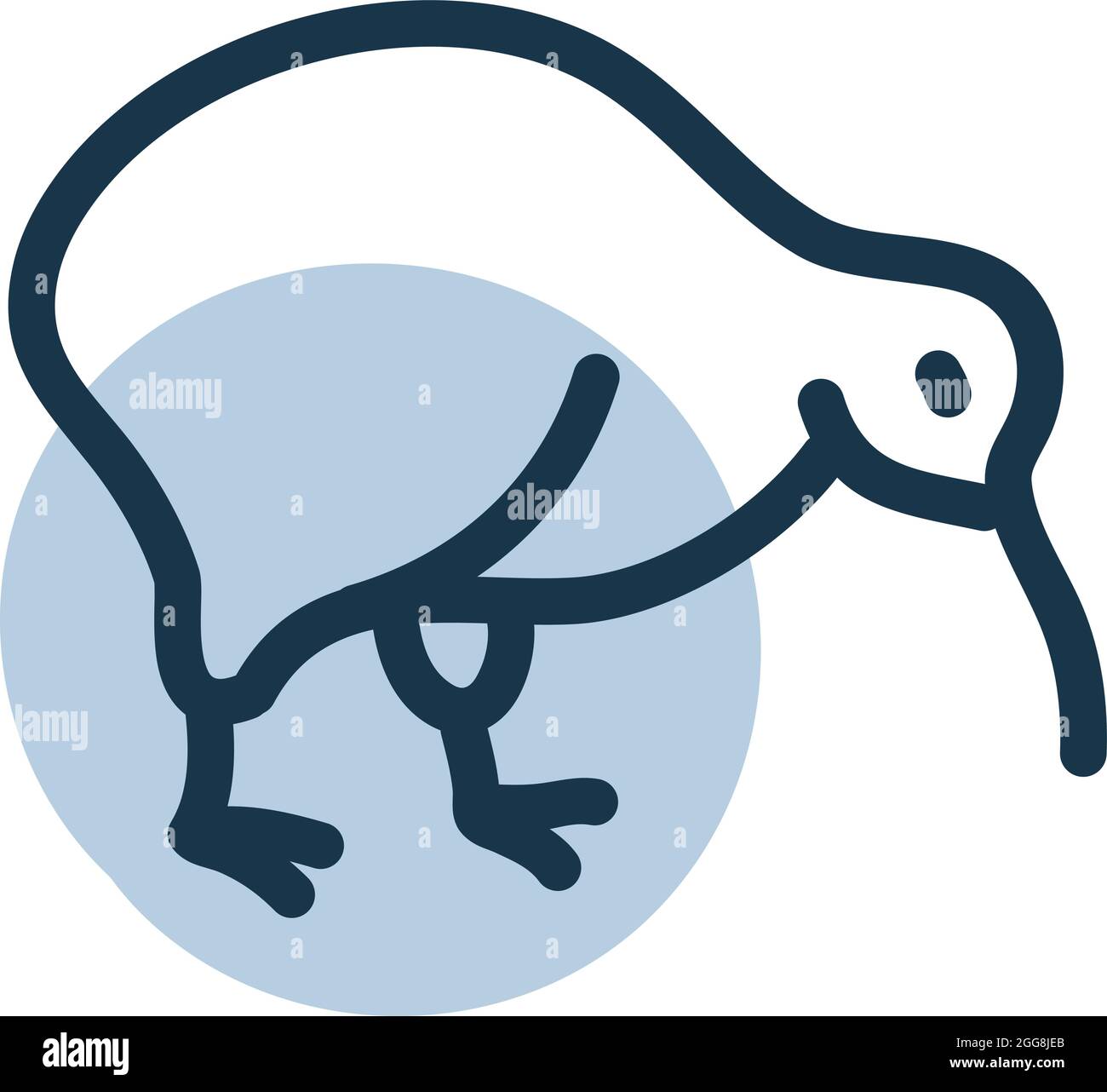 Kiwi oiseau, illustration, vecteur, sur fond blanc. Illustration de Vecteur Kiwi oiseau, illustration, vecteur, sur fond blanc. Illustration de Vecteur