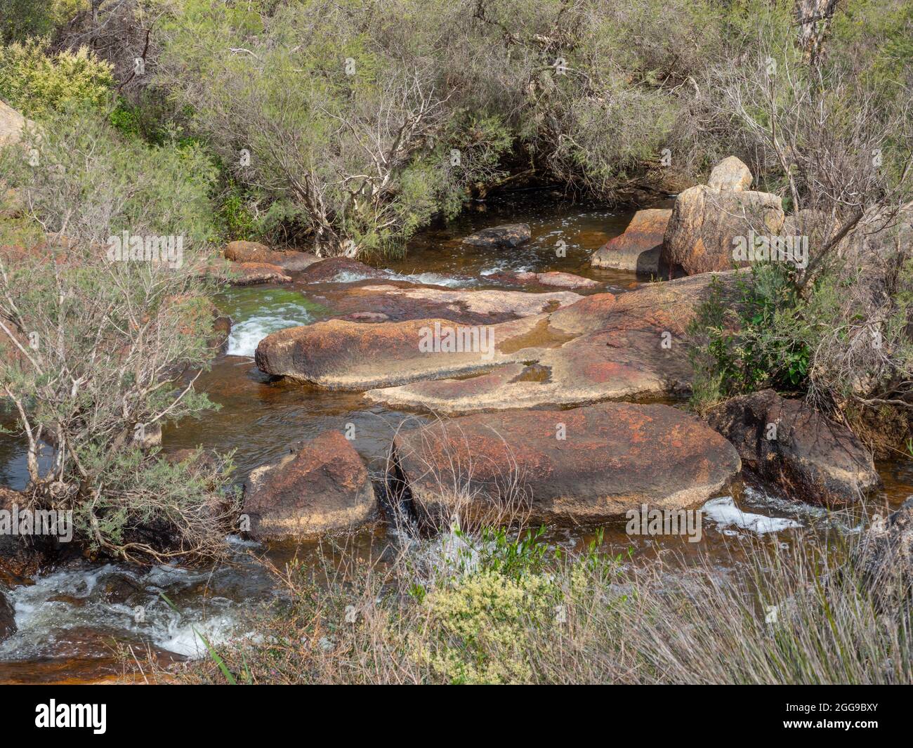 Jane Brook coule dans le parc national John Forrest près de Perth, en Australie occidentale. Banque D'Images