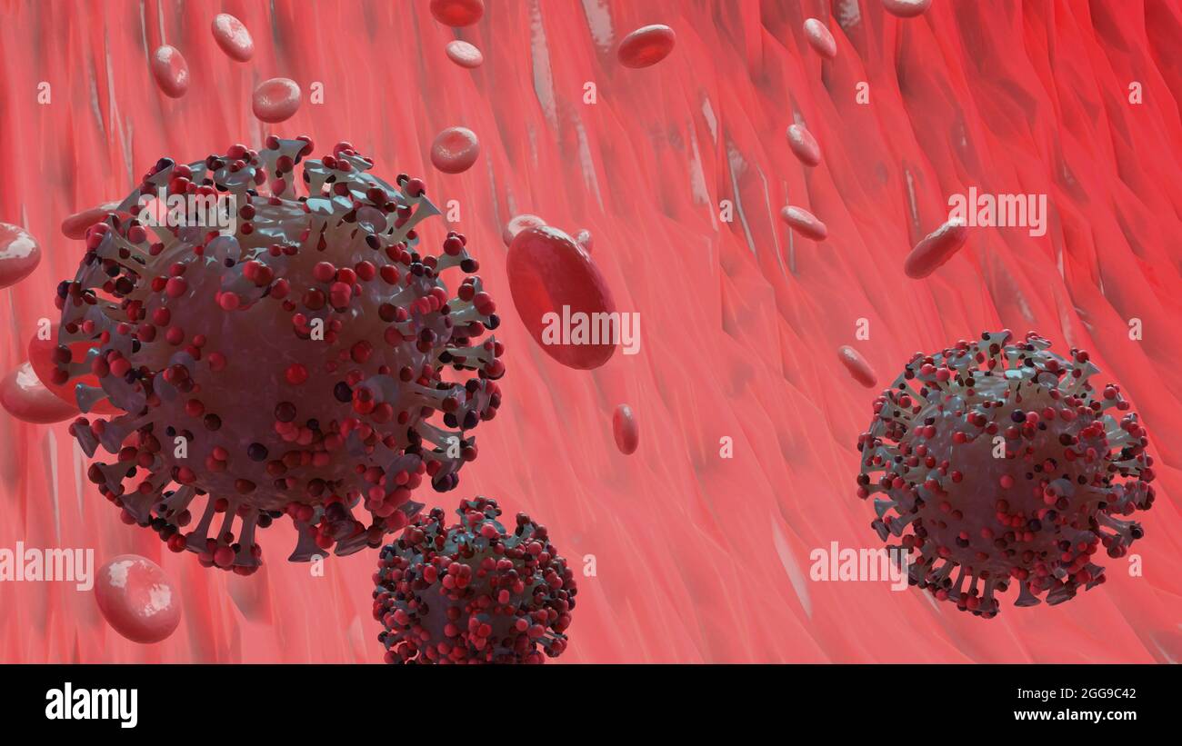 Coronavirus 2019-nCov Nouveau virus corona dans le corps humain. Le virus Corona ou d'autres cellules dangereuses qui nagent à l'intérieur d'un vaisseau sanguin. Rendu 3D de micro virus. Banque D'Images
