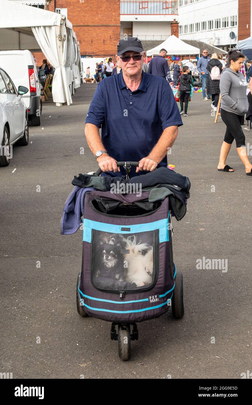 Homme poussant un pram avec ses 3 chiens d'animal de compagnie à l'intérieur, comme il marche autour de la vente de bottes de voiture et du marché en plein air, ayr course, ayr, Ecosse, royaume-uni Banque D'Images