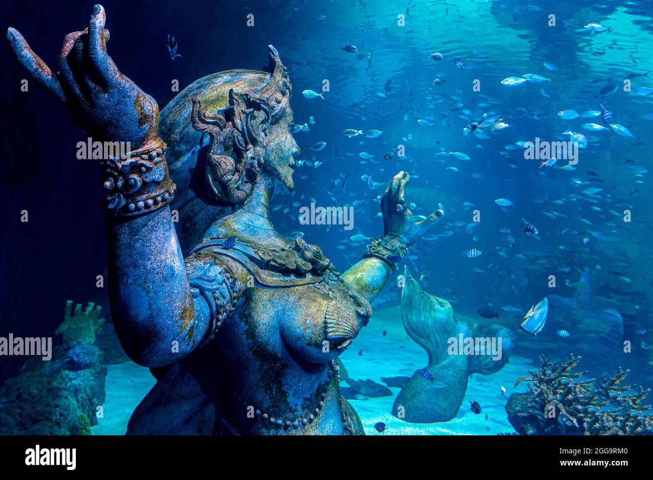 déesse de la mer dans l'eau de mer de l'océan, bras s'étirent, parmi les poissons flottants. Un fragment de la conception de l'aquarium, Phuket. Thaïlande, 2 Banque D'Images