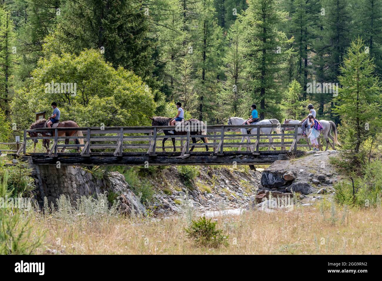 Quatre personnes sur quatre beaux chevaux traversent un pont en bois sur un ruisseau à Valnontey, Vallée d'Aoste, Italie Banque D'Images