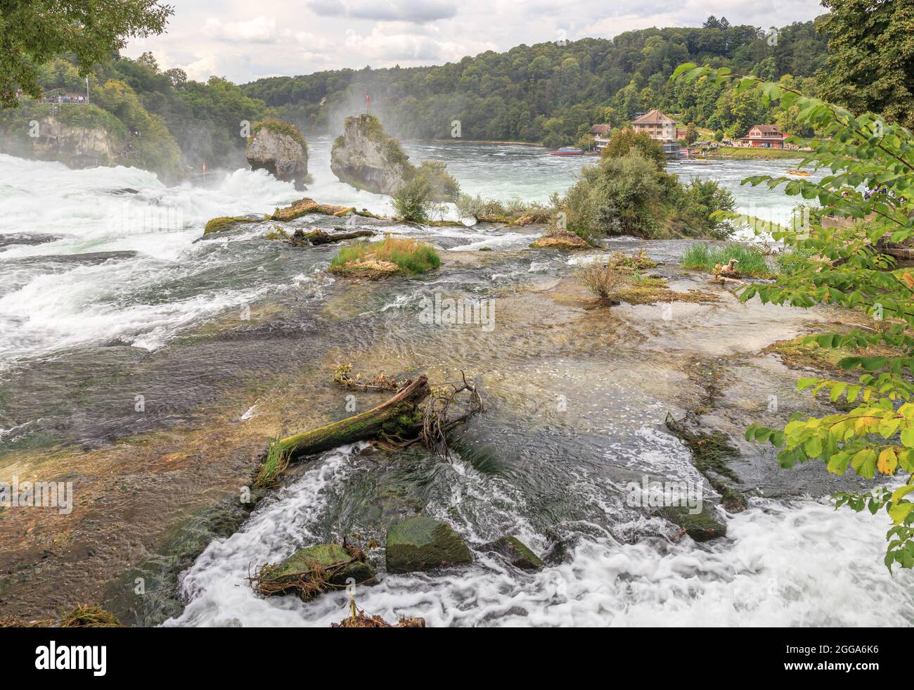 Chutes du Rhin en Suisse à Neuhausen près de Schaffhausen Banque D'Images