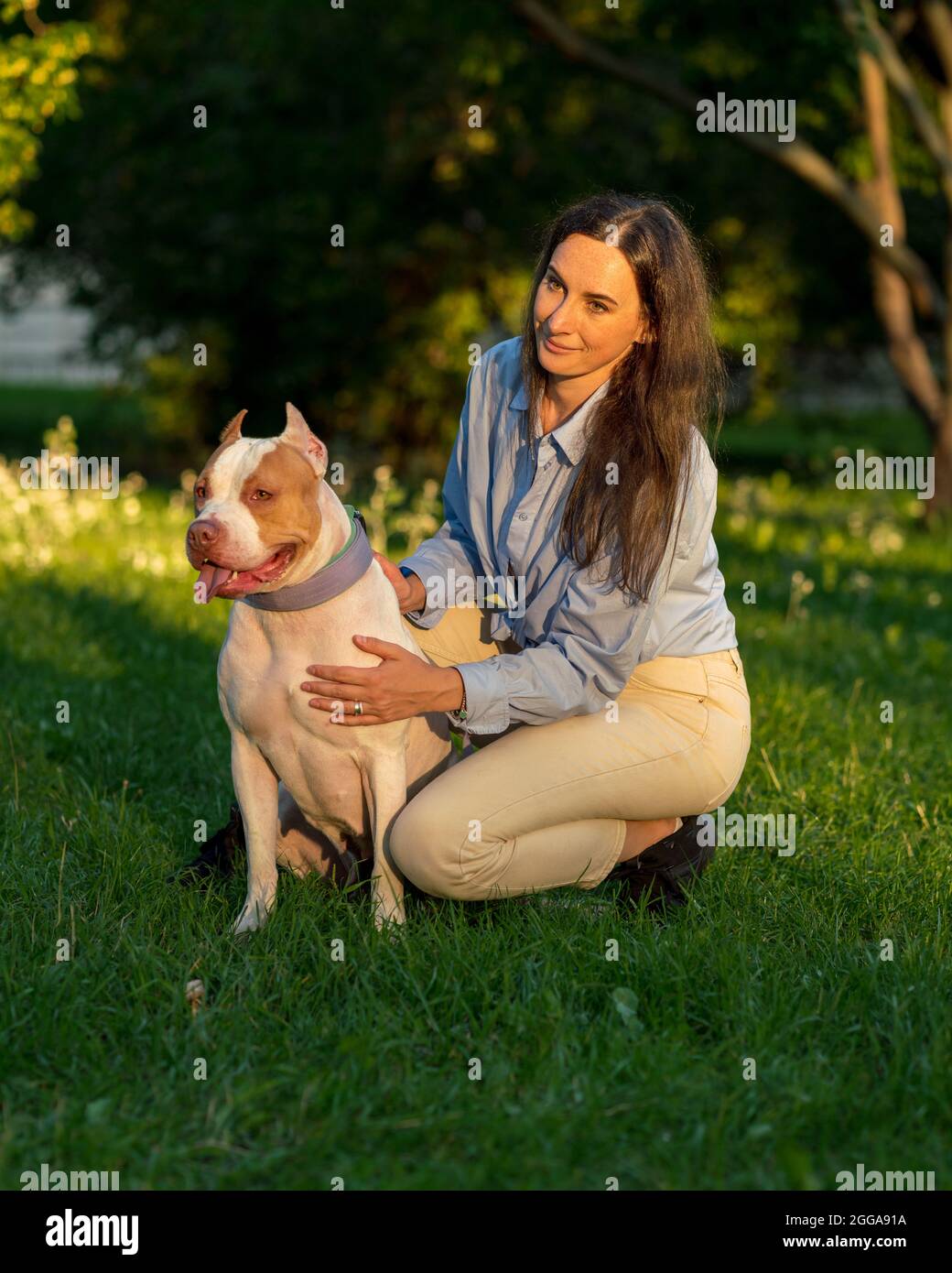 Femme assise en train de s'accroupir et de se pimenter avec un joyeux pitbull américain à l'aube Banque D'Images