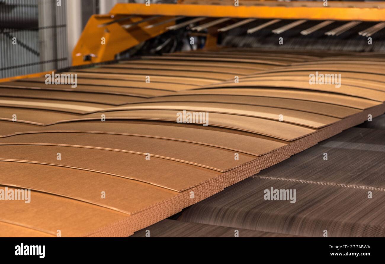 Le papier est converti en carton ondulé composé de plusieurs couches ondulées et plates. Ce produit final est utilisé pour l'emballage Banque D'Images