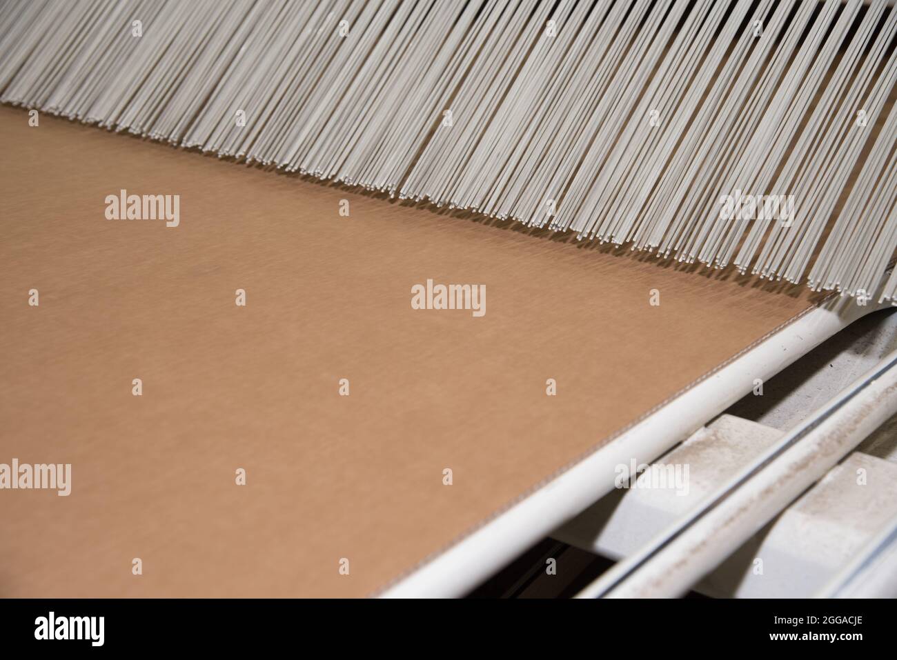 Le papier est converti en carton ondulé composé de plusieurs couches ondulées et plates. Ce produit final est utilisé pour l'emballage Banque D'Images