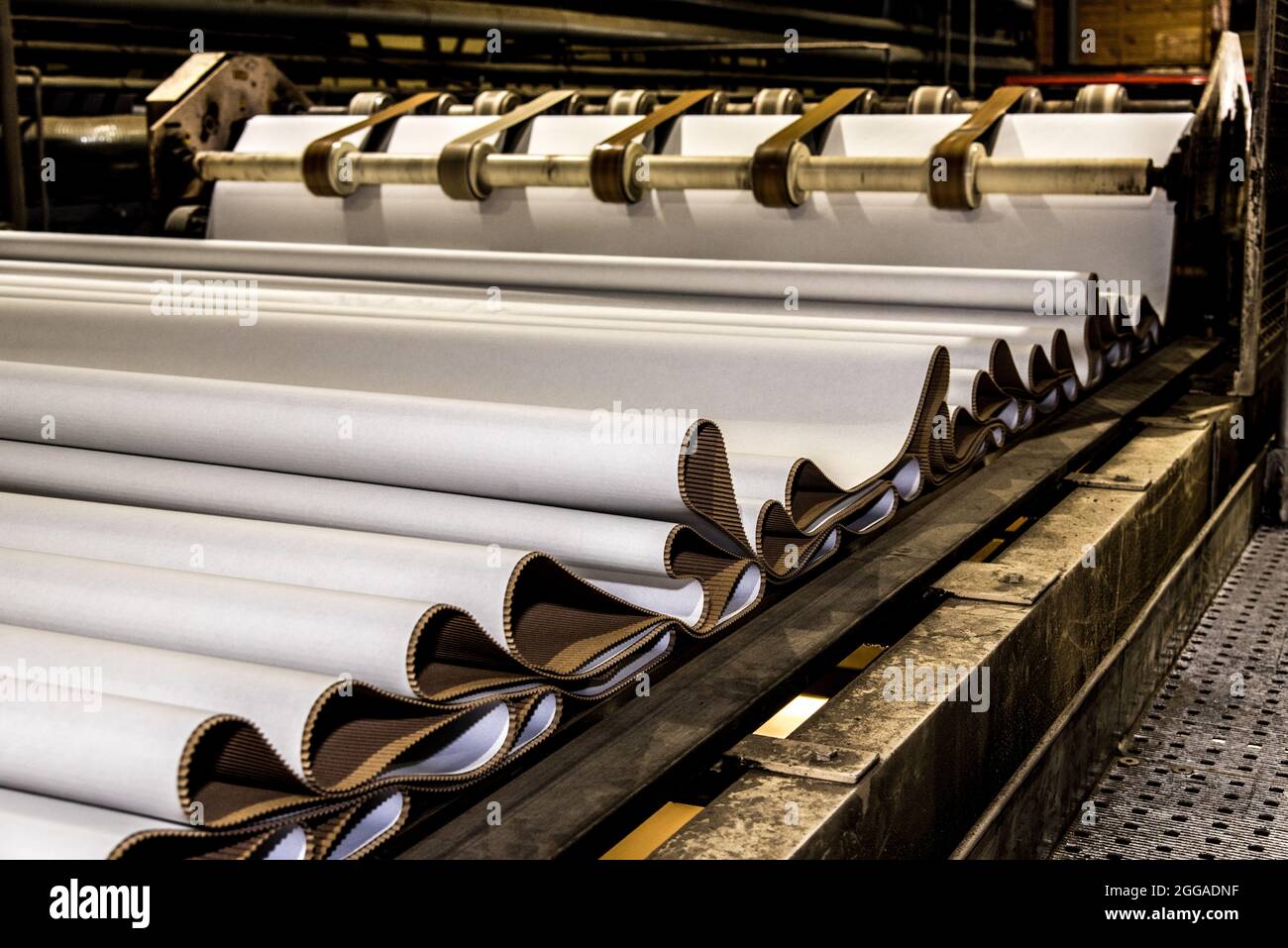 Le papier est converti en carton ondulé composé de plusieurs couches ondulées et plates. Ce produit final est utilisé pour l'emballage Banque D'Images